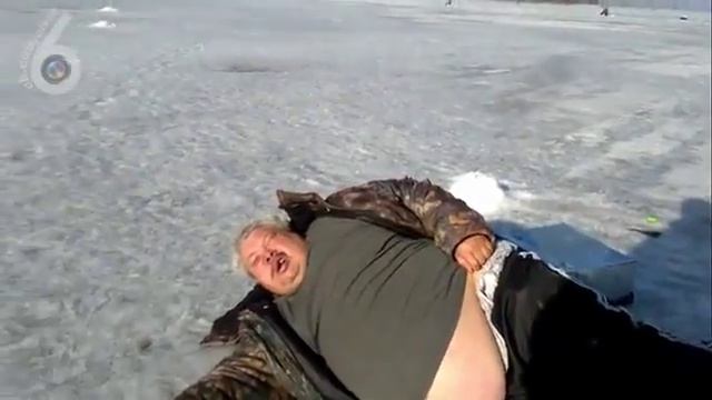 Выбросило моржа