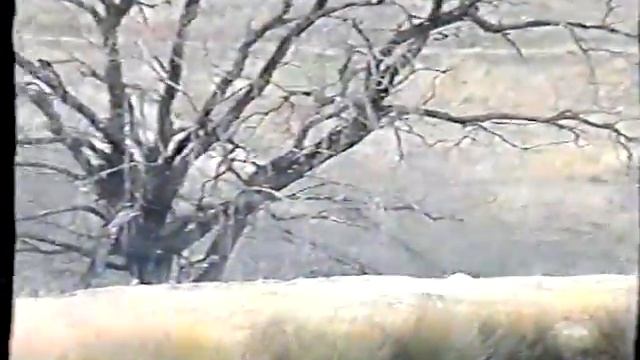 BACKYARD MOTOCROSS MADNESS YEAR 2000 NEWCASTLE