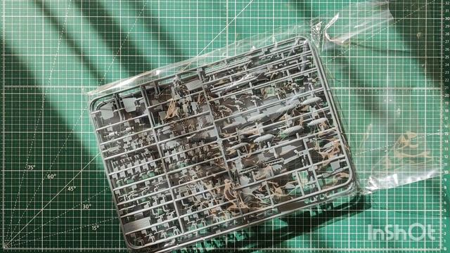 №218 Обзор модели самолёта(ов) P-40E Warhawk Eduard 1/48 Royal Class.mp4