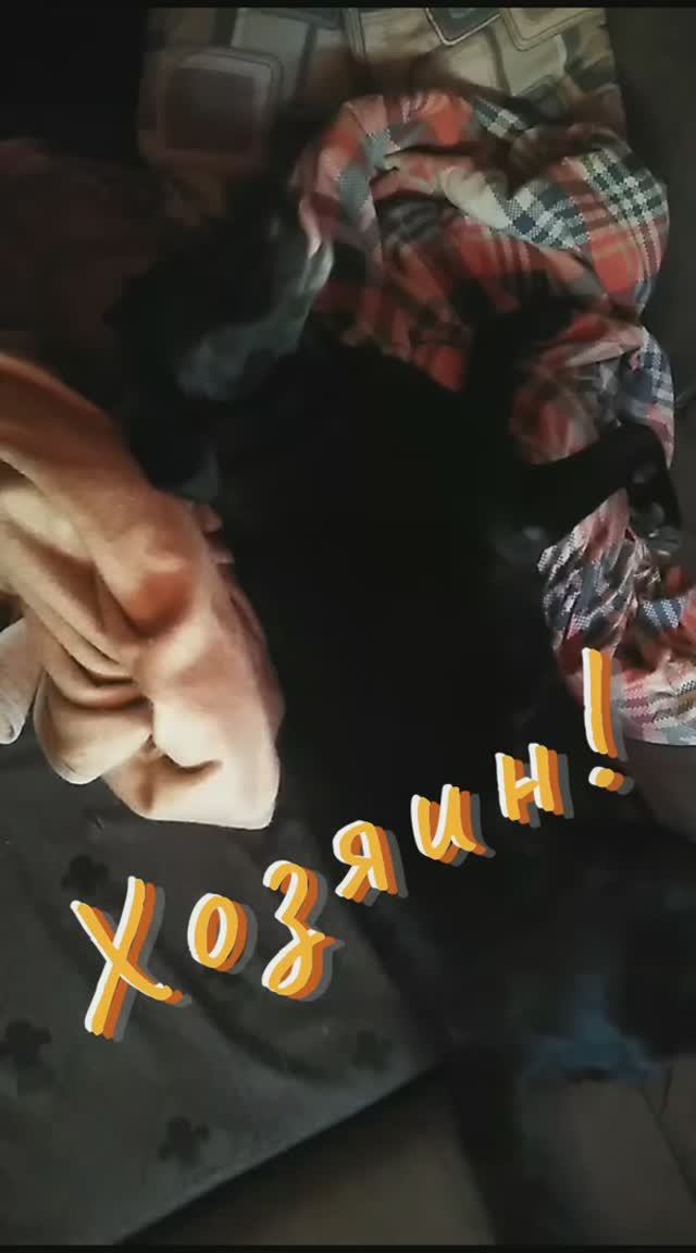 Хозяин жизни