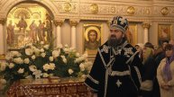 О привыкании к свету