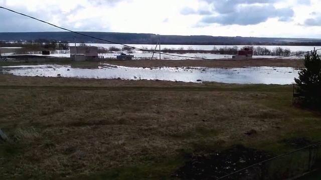 Паводок 2015 д. Береговая