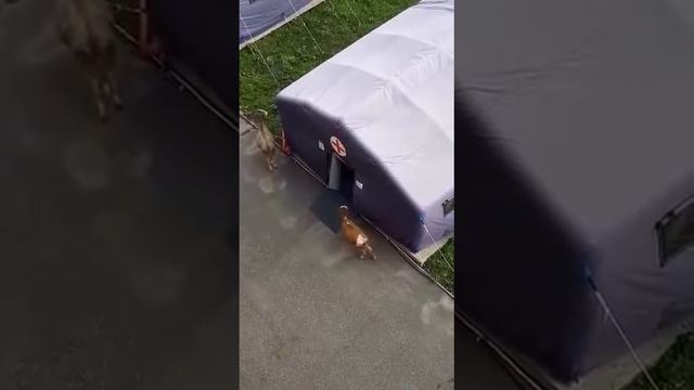 Мыски