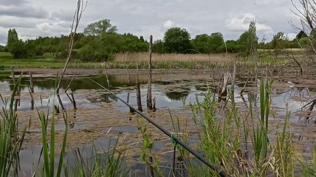 НА РЫБАЛКЕ РЕЛАКС / ON FISHING RELAX