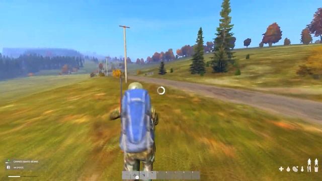 DAYZ OFFLINE 0.63 (БАГ ЗВУКА, БЕЗ ТРАВЫ)