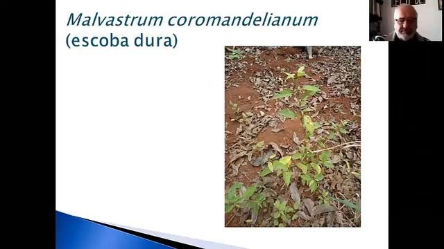 Clase Protección Veg/Ftal 28/05/2020 FCF UNaM. Parte 1