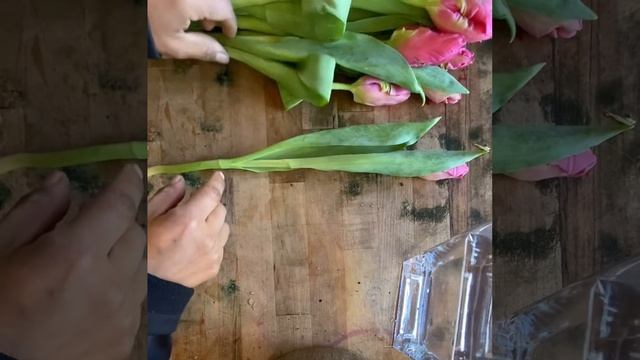 How to clean Tulips like a Pro #flowers #tulip #dutch #florist #howto #diy