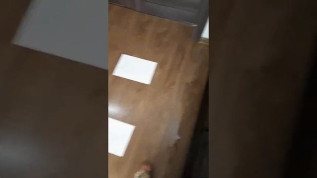 Инициация ,,Денежные ступени"