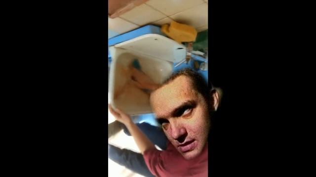 Зеленый слоник (Обуховский). На роботу!!!