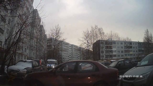 Курица паркуется по звуку!  (Две машины повредила во дворе)