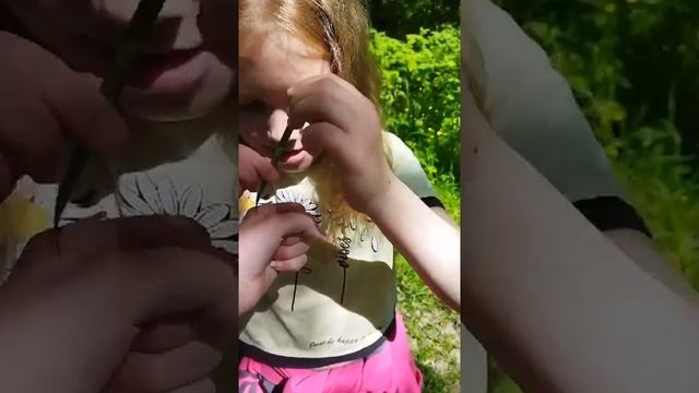 Куда идём мы с Пятачком.