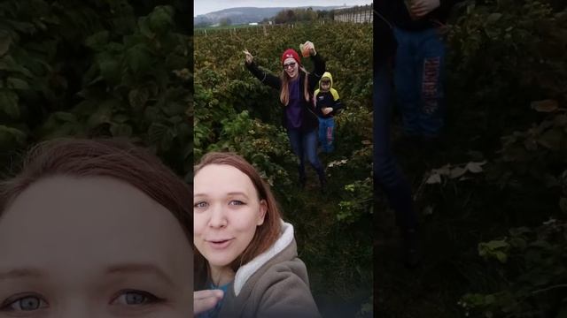 Собираем малину как медвежата 🐨🐻🐼