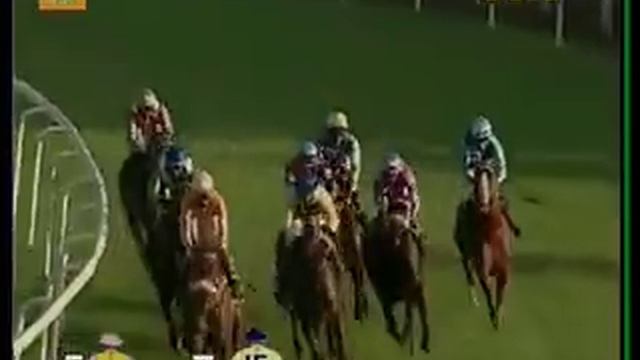 The Adler Plate Winner STAR VICTORIOUS