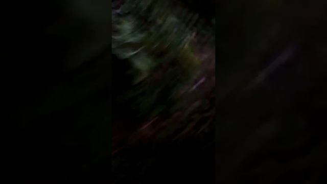 Типа паркур