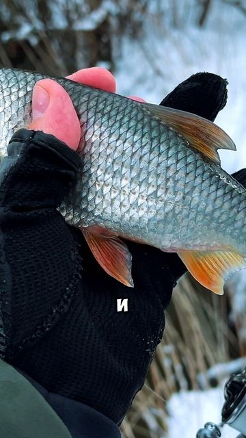 НЕ ИСПУГАЛАСЬ 😉