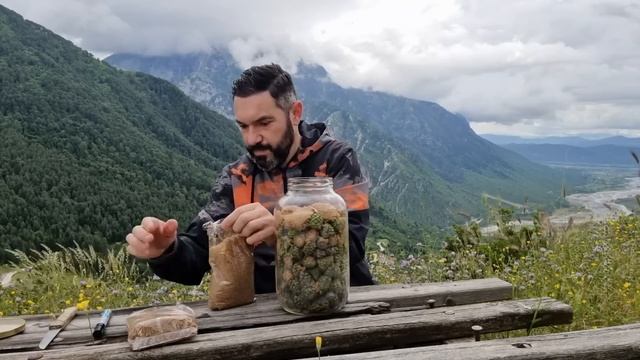 Σιρόπι Πεύκου (mugolio) Δείτε πως να το φτιάξετε πολύ εύκολα