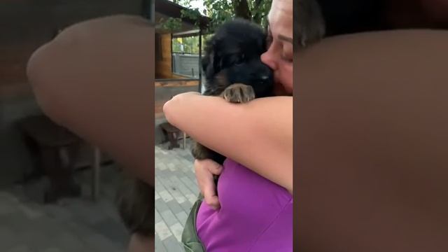 Девчушка розовая лента😍