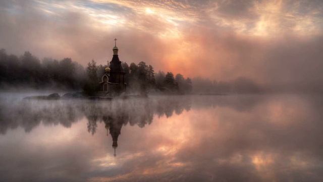 Дух растений и животных
