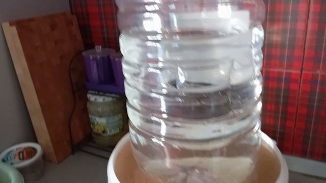 Готовка#шашлык
