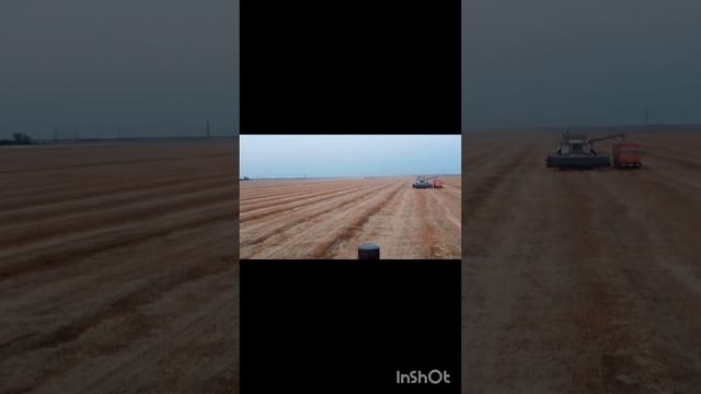 уборка 2023 продолжается
