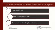 8 Antimicrobial Resistance Gram Negative Resistance