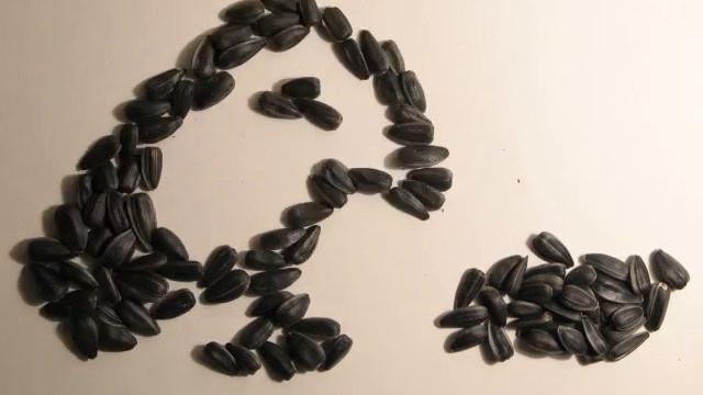 Семечки