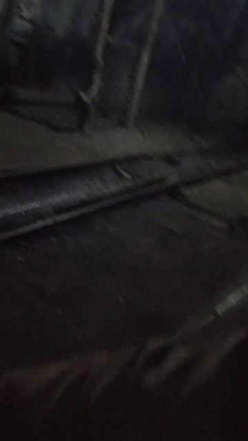 прикол рыбалка на крысу