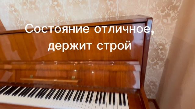 copy_02B65A8C-4D8F-4A91-9BC0-B80E627988FE