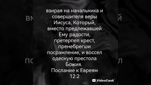 VideoCook_20250420_175620772.mp4