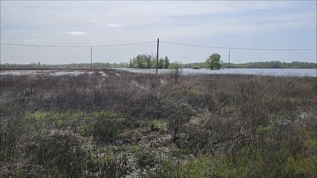 Разлив Урала возле аэропорта. Дачи г. Оренбург.
