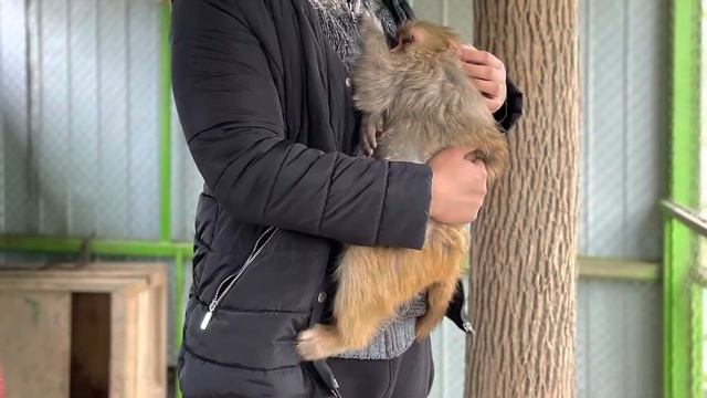 A Day at the Zoo Park #Dushanbe #Tajikistan #ZooAdventure
