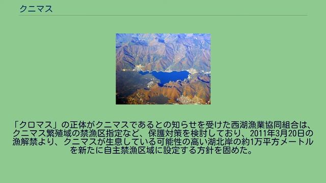 クニマス