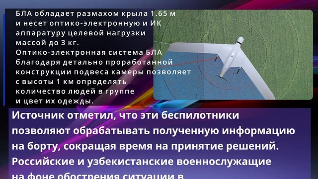 Узбекистан применил российские дроны на учениях близ Афганистана