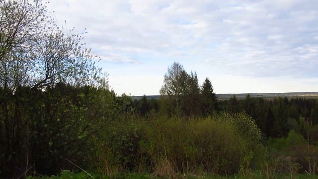 №5176 22 05 2024 Холодное утро