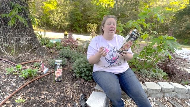 1 Year Update on Bare Root Daylilies! Plus planting Longfield's Glory Daylily roots!