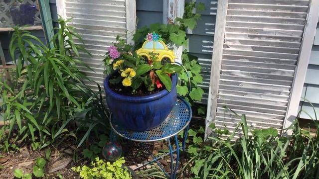 Early May Garden - My Battle with Squirrels and Plans for a Hippie Garden