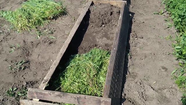 Батат, устройство гряд вручную под приспособление.