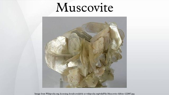 Muscovite