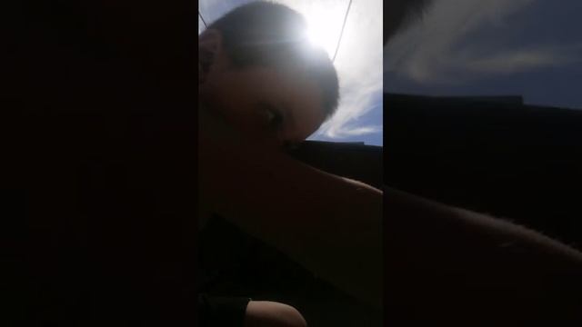 Пнету