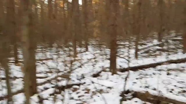 На охоте с Машкой. И опять с пустом.