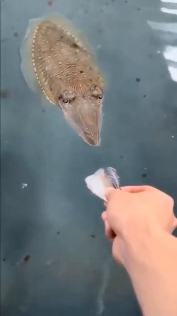 Хочу кушать.