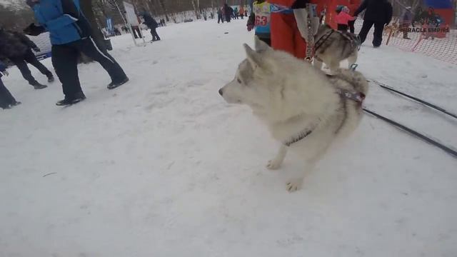 Суперспорт
