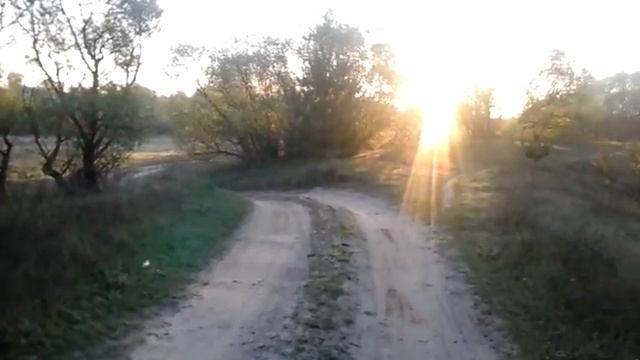 Трели соловья.