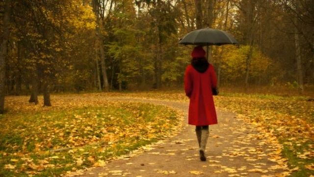 Park Hyo Shin - Autumn Letter ( rus sub)