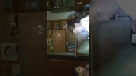 Моя уборка вечером подписка