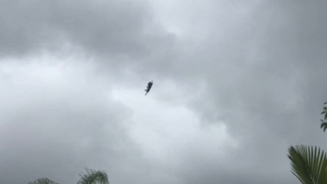 EA-18G Growler Flyby