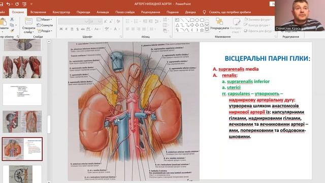 Артерії низхідної аорти. Грудна аорта. Чеервна аорта. Aorta thoracica. Aorta abdominalis