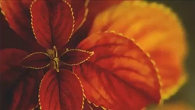 Муселмонора худо нигахбон боша 🥀🥀🌹🌹🌹🌹