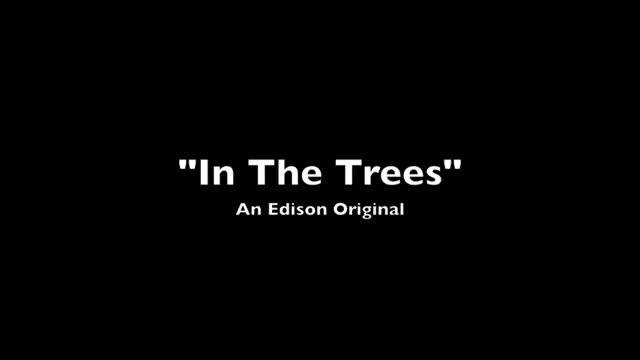 "In The Trees" Original Song by Edison