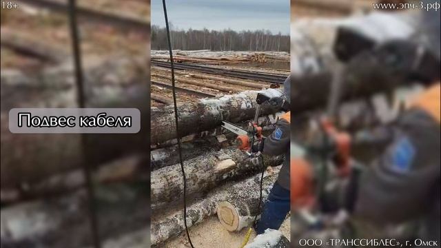 Отзыв о цепной пиле ЭПЧ-3 для раскряжевки леса
